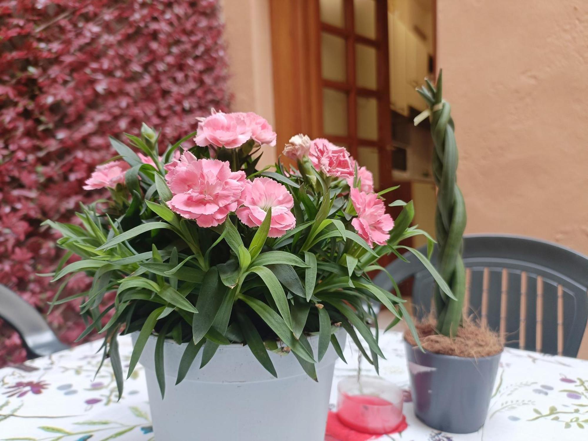 Il Giardino Segreto * Lucca