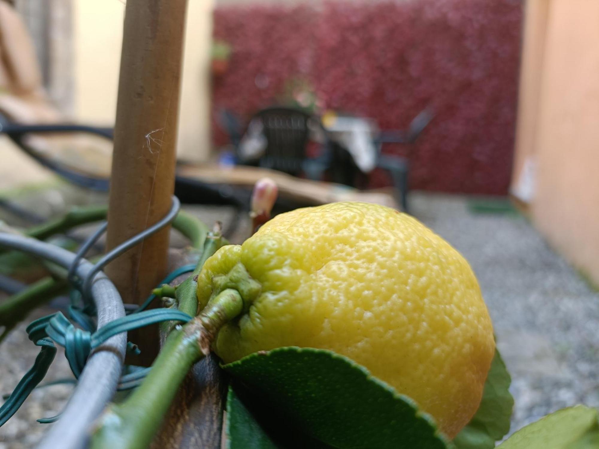 Il Giardino Segreto Apartment *