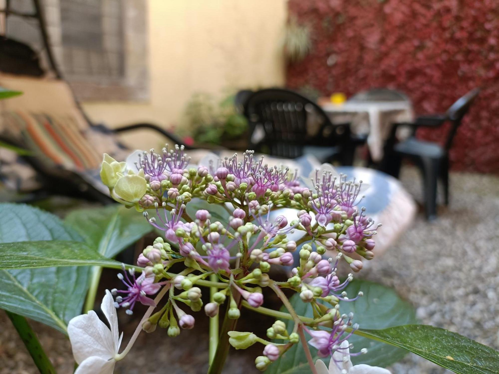 Il Giardino Segreto